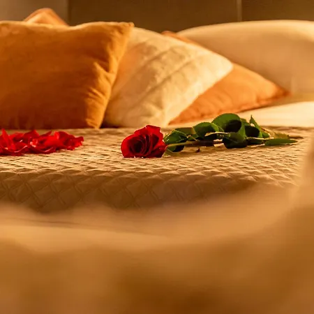 Appartement And 21 Dijon