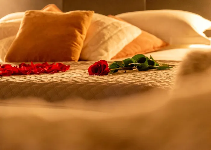 Apartment And 21 Dijon